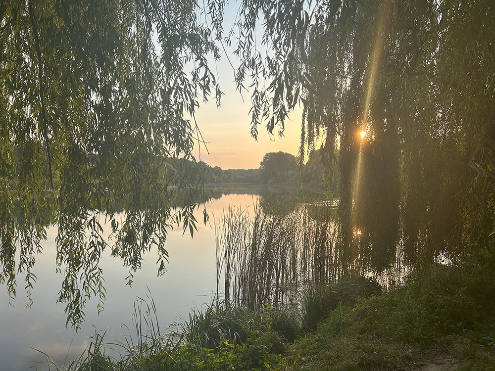 Фотографія Вечірніє / Рулевский Сергей Юрьевич / photographers.ua