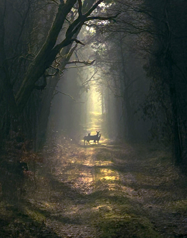 Фотографія Ранкове світло / Рулевский Сергей Юрьевич / photographers.ua