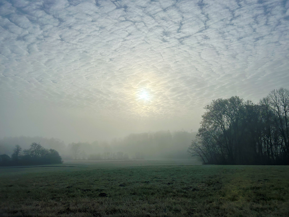 Фотографія Ранок туманний / Рулевский Сергей Юрьевич / photographers.ua