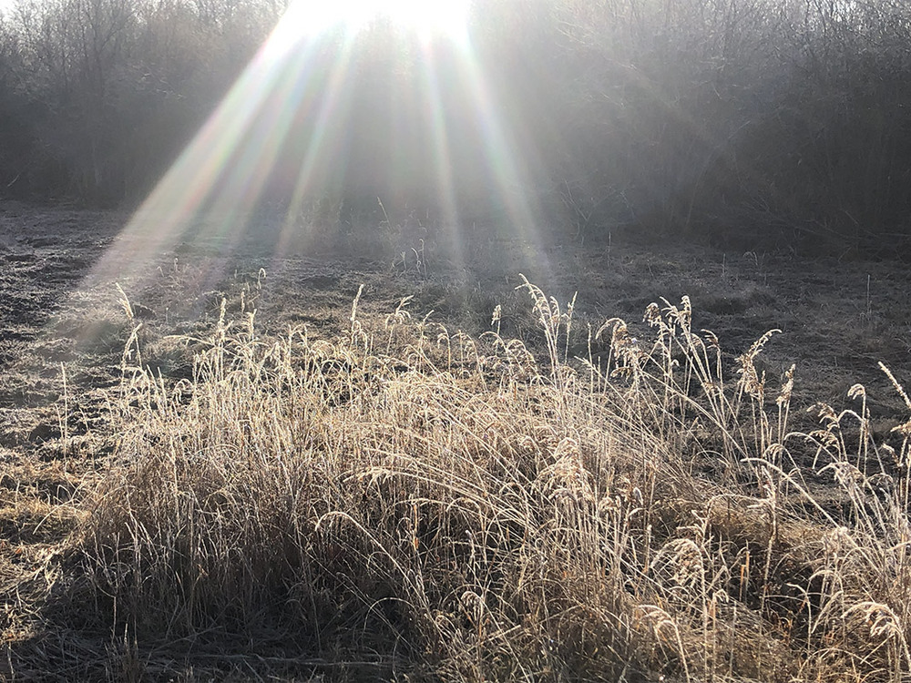 Фотографія Іней / Рулевский Сергей Юрьевич / photographers.ua