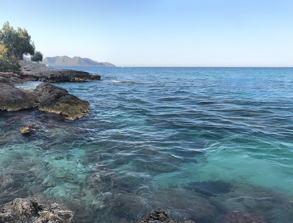 Фотографія Смарагдові переливи кольору. / Рулевский Сергей Юрьевич / photographers.ua