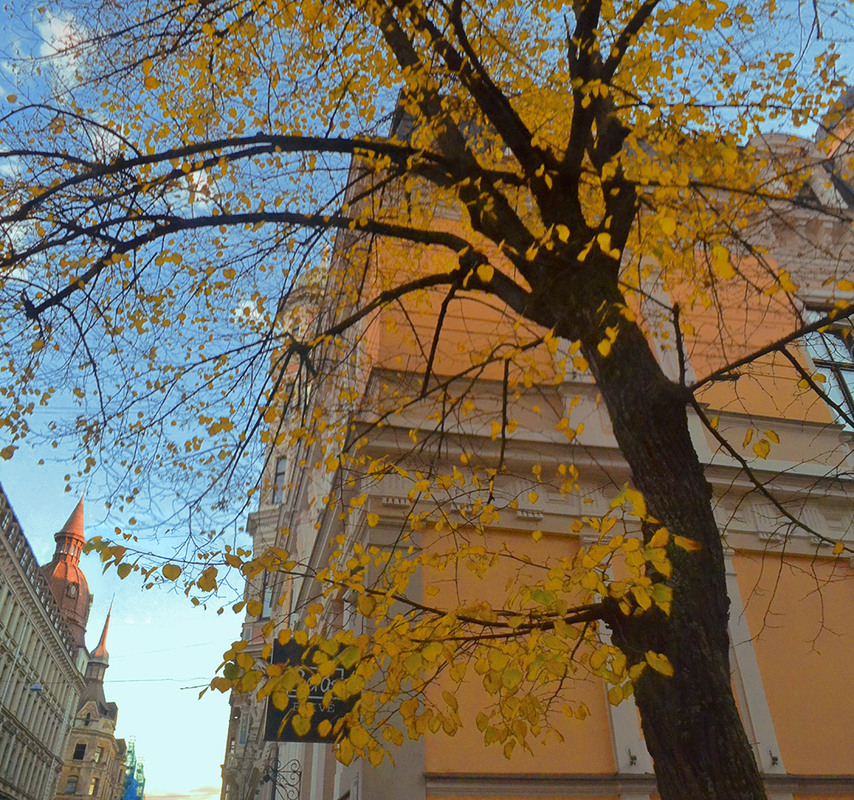 Фотографія В Риге октябрь / Рулевский Сергей Юрьевич / photographers.ua