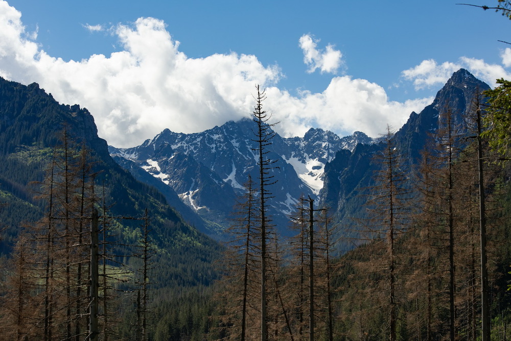 Фотографія Пейзаж / Mykola Lozovyi / photographers.ua