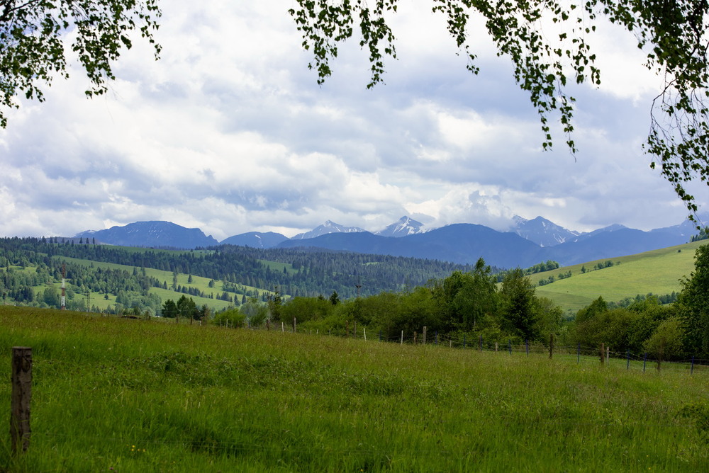 Фотографія І знову про гори)) / Mykola Lozovyi / photographers.ua