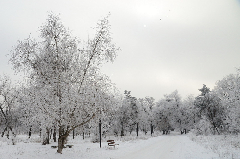 Фотографія Дивовижні малюнки зими / Mykola Lozovyi / photographers.ua