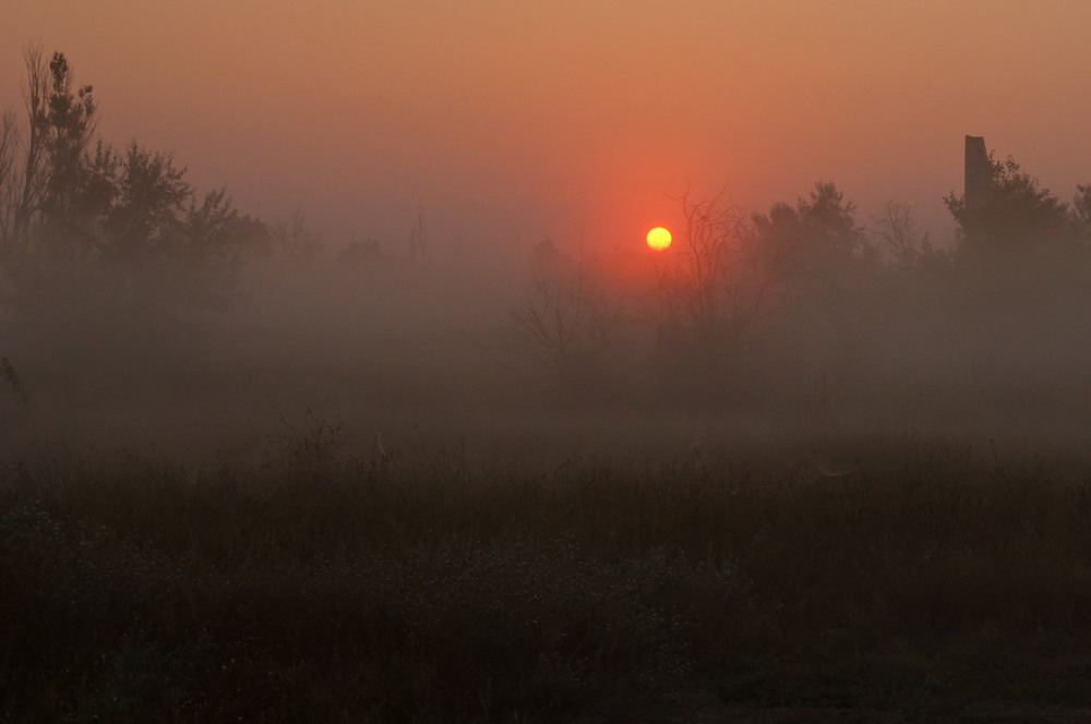 Фотографія Ранковий туман / Mykola Lozovyi / photographers.ua