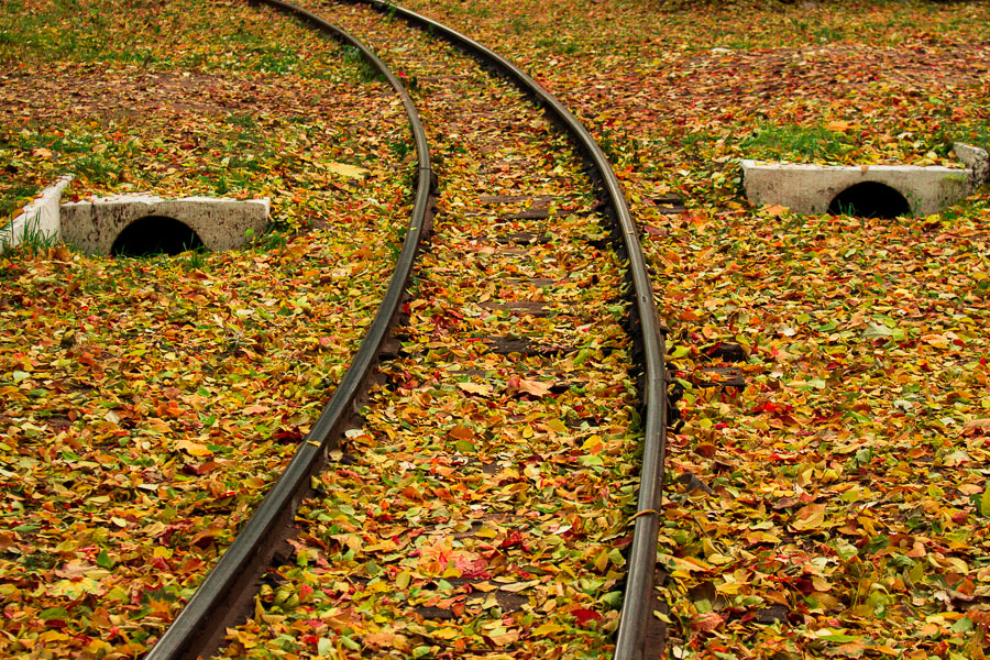 Фотографія ...Эти глаза напротив...! / Максим Колесник / photographers.ua