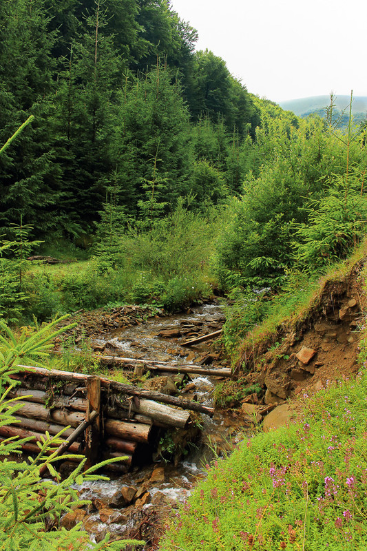 Фотографія Пейзаж / Максим Колесник / photographers.ua