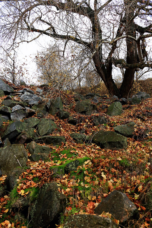 Фотографія Пейзаж / Максим Колесник / photographers.ua