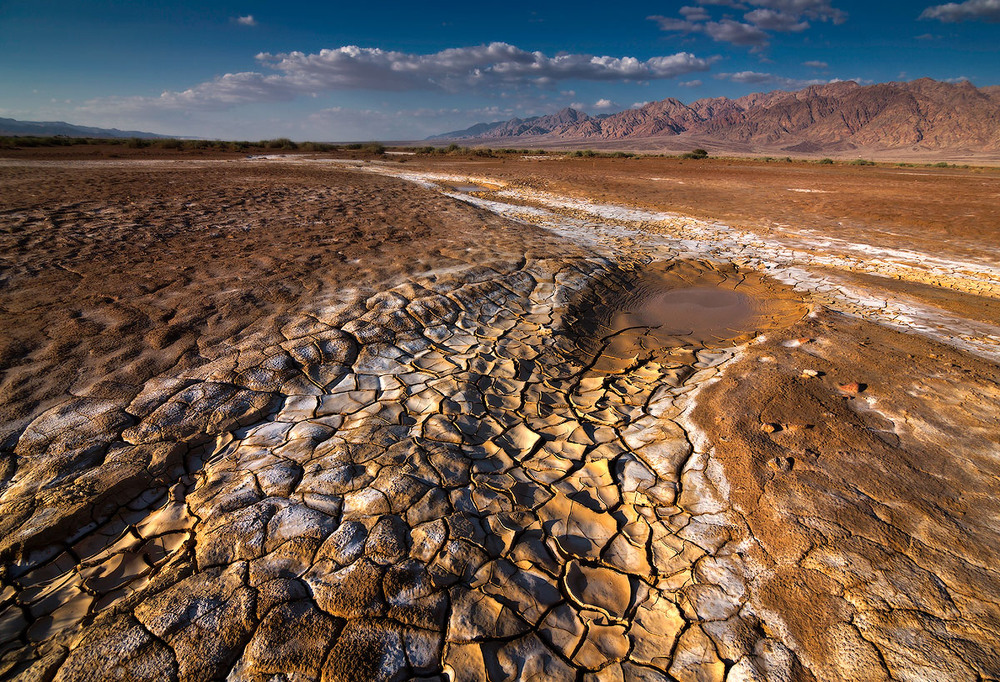 Фотографія После дождя Негев. Израиль / Boris Bekelman / photographers.ua