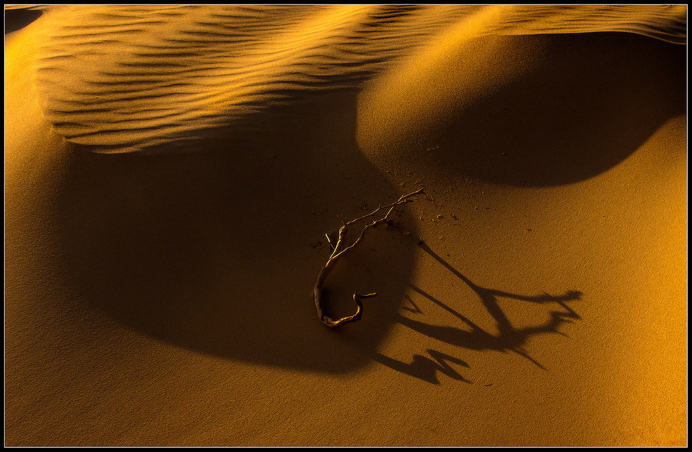 Фотографія Рисунки на песке... / Boris Bekelman / photographers.ua