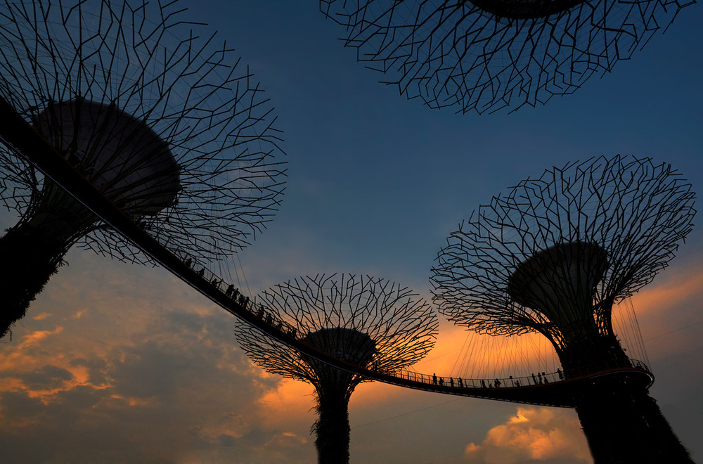 Фотографія Сингапур. Прогулки между небом и землей / Boris Bekelman / photographers.ua