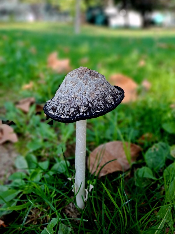 Фотографія Пейзаж / Оксана Иванько / photographers.ua