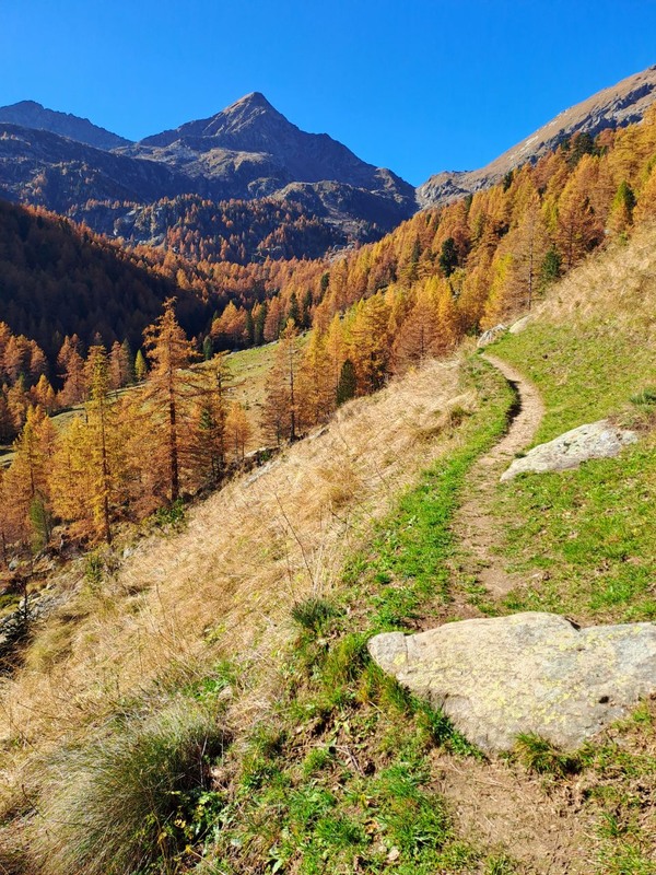 Фотографія Пейзаж / Оксана Иванько / photographers.ua