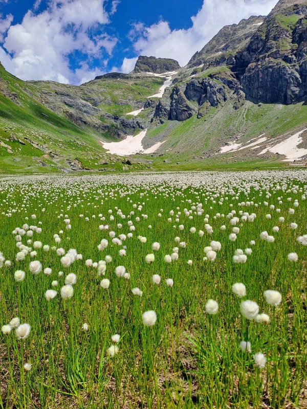 Фотографія Пейзаж / Оксана Иванько / photographers.ua