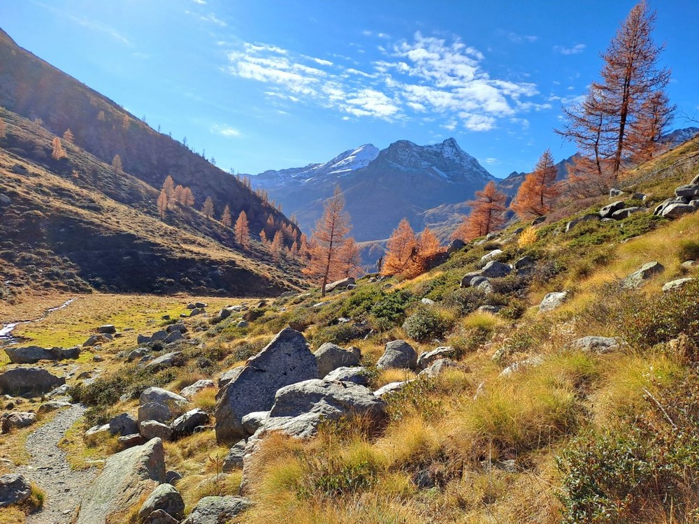 Фотографія Пейзаж / Оксана Иванько / photographers.ua