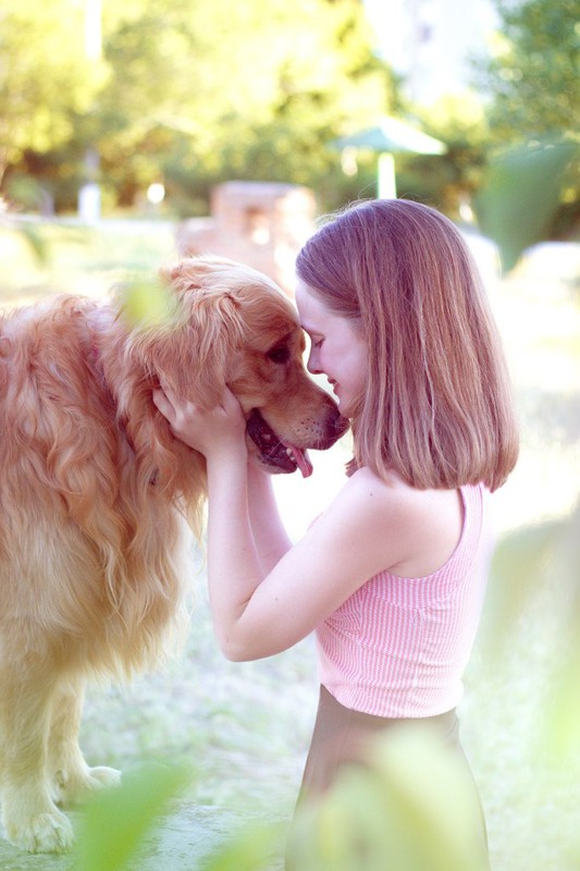 Фотографія Животные / Елена Подгорная / photographers.ua