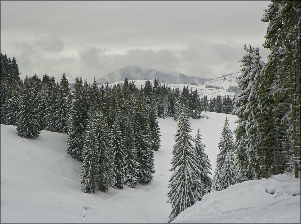 Фотографія Родопи / V.V. / photographers.ua