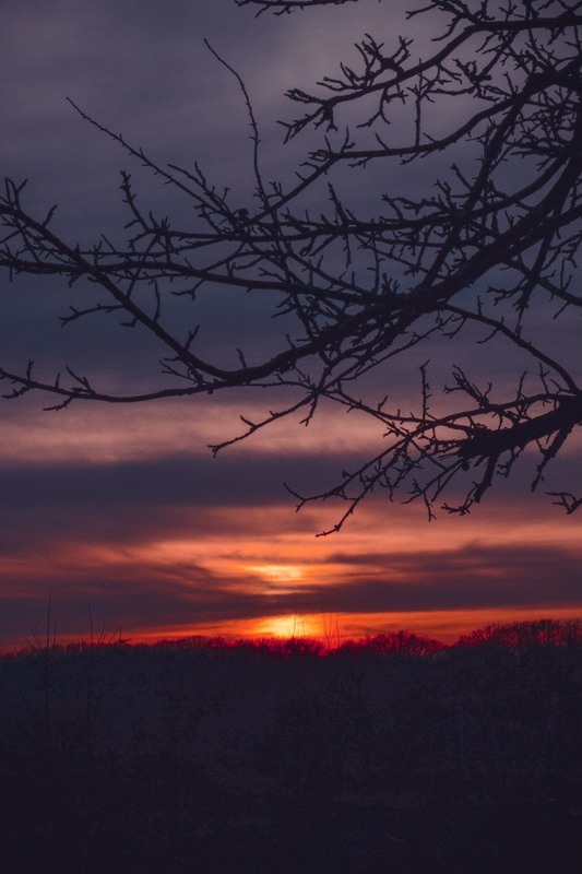 Фотографія Рождение ночи / Алеся Пономарёва / photographers.ua