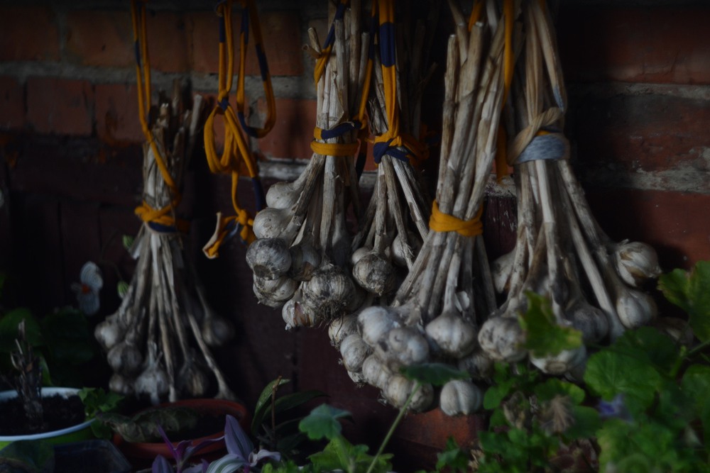 Фотографія Родительский дом / Алеся Пономарёва / photographers.ua