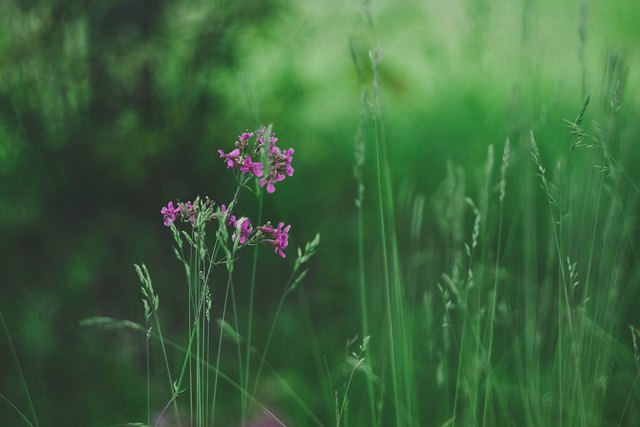 Фотографія Пейзаж / Алеся Пономарёва / photographers.ua