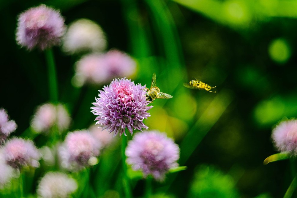 Фотографія жжж:)) / Алеся Пономарёва / photographers.ua