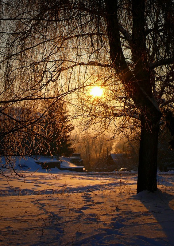 Фотографія Тепло зимового вечора / Ігор Можарівський / photographers.ua