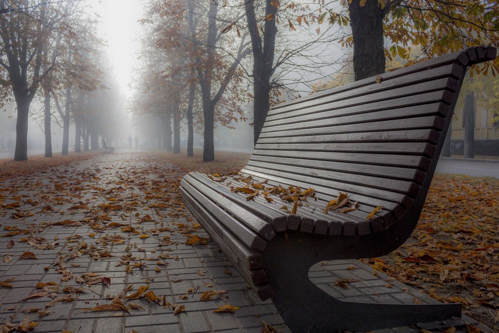 Фотографія Затуманена осінь... / Вікторія Царенко / photographers.ua