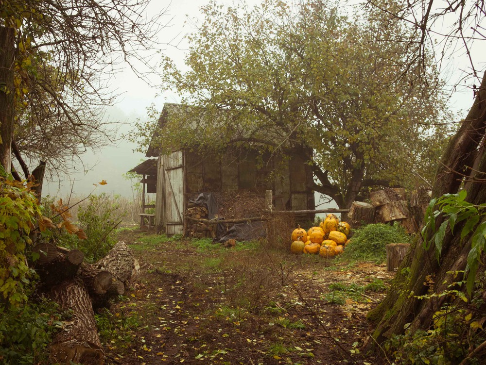 Фотографія *** / Василий Васюк / photographers.ua