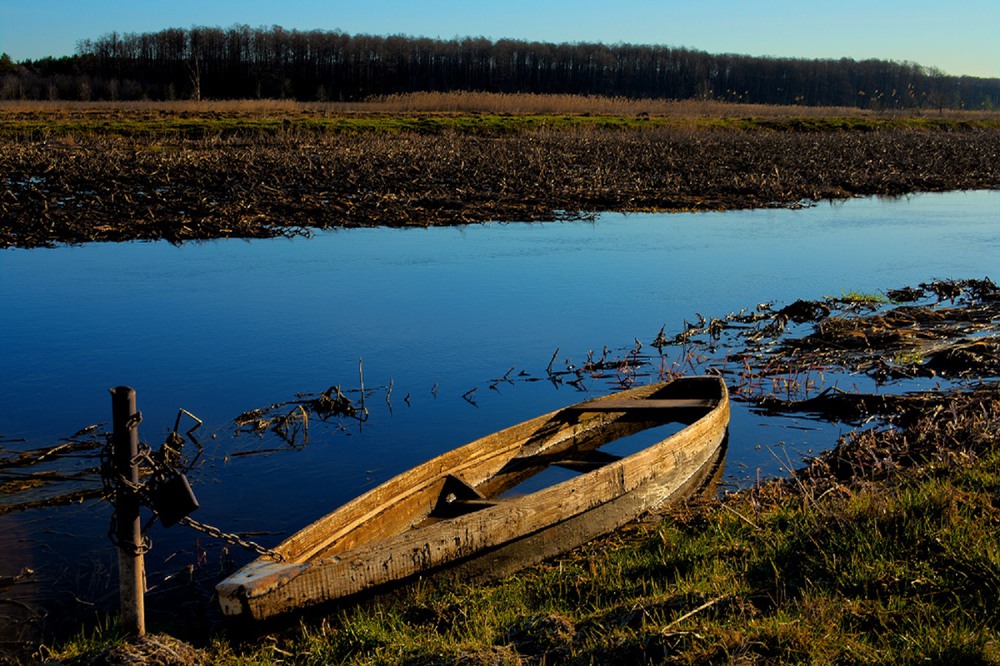 Фотографія * / Наталия Цехмейструк / photographers.ua