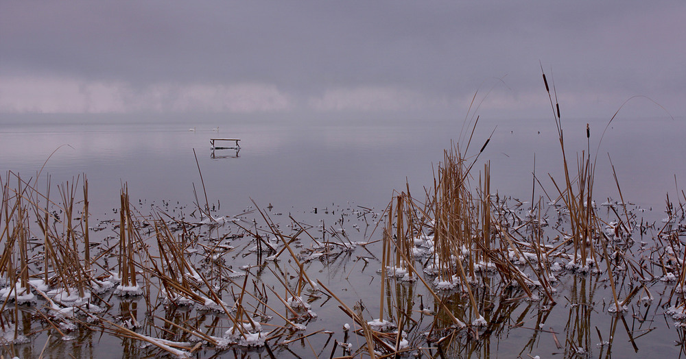 Фотографія Зимовим ранком / Сергей Кундас / photographers.ua