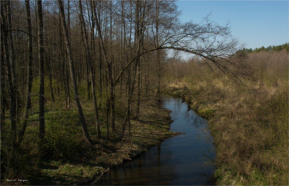 Фотографія Лісова річечка... / Сергей Кундас / photographers.ua