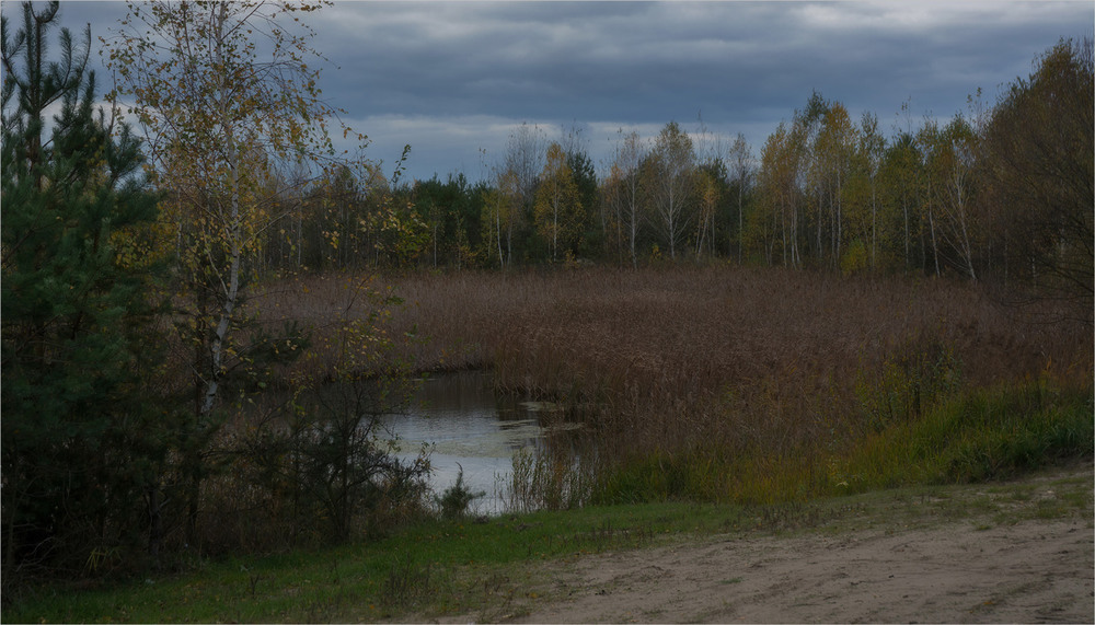 Фотографія Така осінь... / Сергей Кундас / photographers.ua