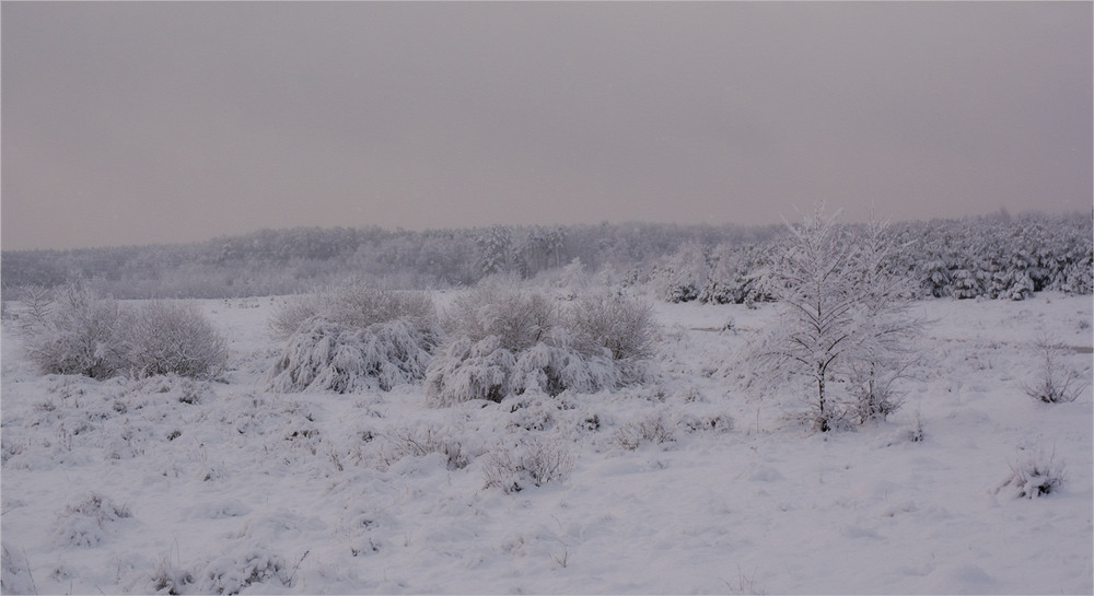 Фотографія Зимові простори... / Сергей Кундас / photographers.ua