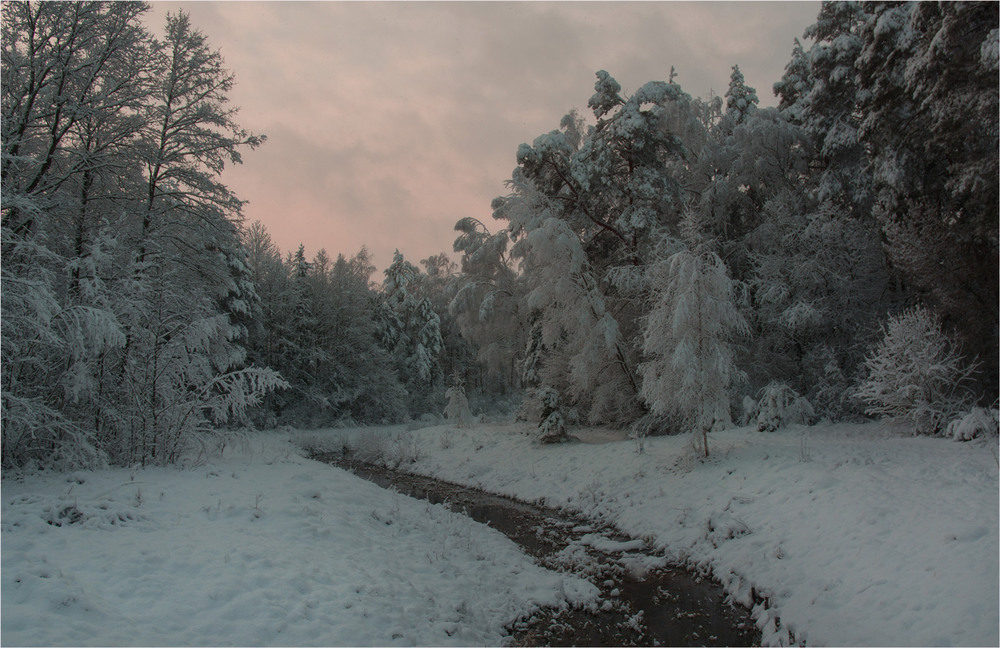 Фотографія Зимовий ранок... / Сергей Кундас / photographers.ua