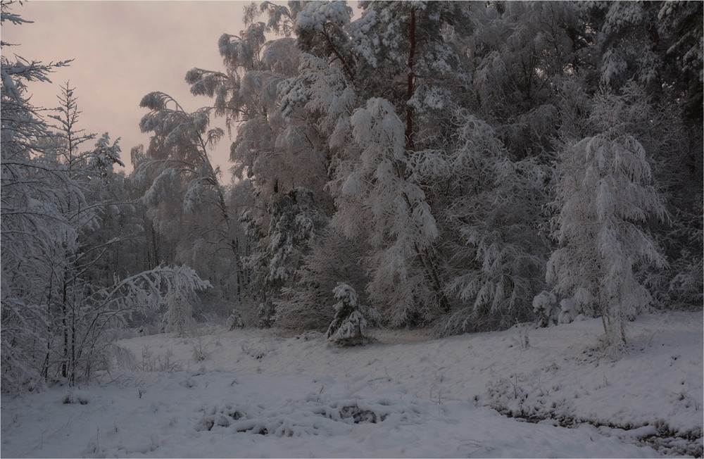 Фотографія Про перший сніг... / Сергей Кундас / photographers.ua