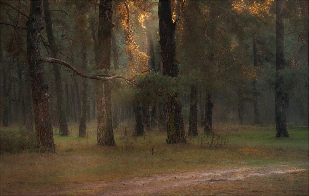 Фотографія Ранок грудня... / Сергей Кундас / photographers.ua