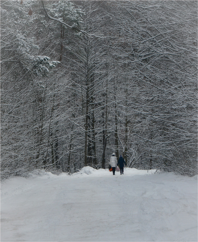 Фотографія Дорога в зиму... / Сергей Кундас / photographers.ua
