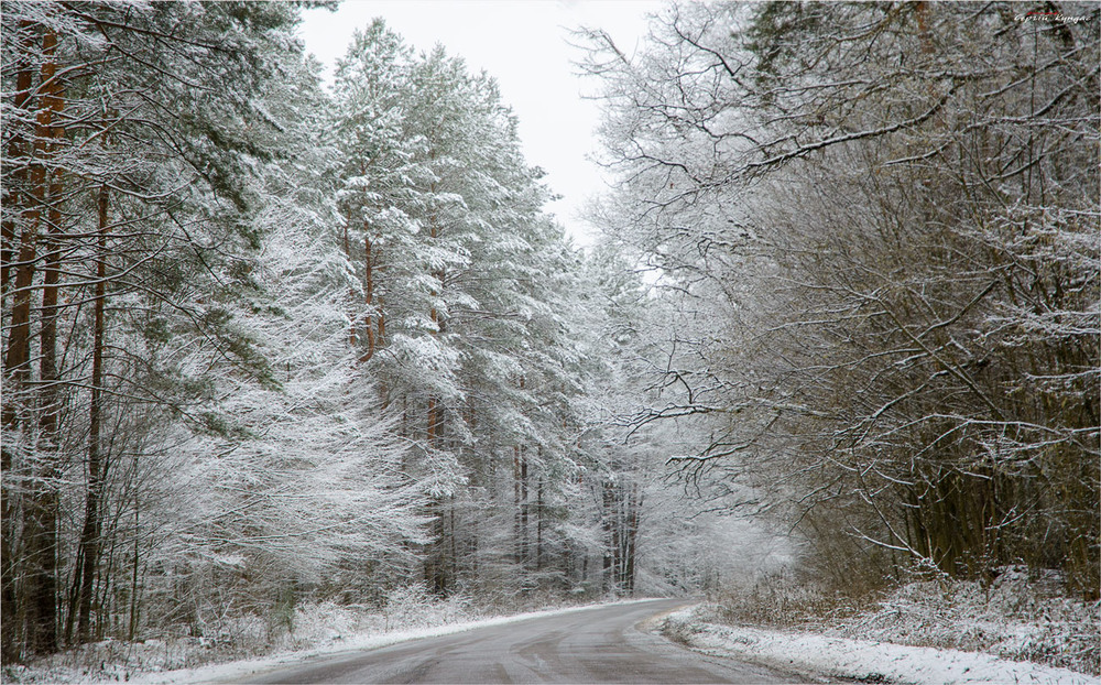 Фотографія Зима, яка була вчора... / Сергей Кундас / photographers.ua