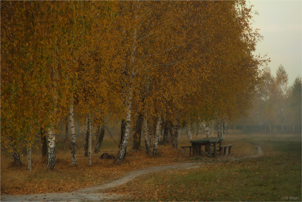 Фотографія Перед листопадом... / Сергей Кундас / photographers.ua