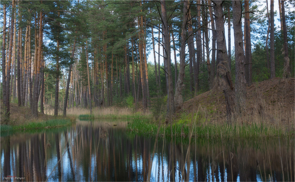 Фотографія Лісова річка Косма / Сергей Кундас / photographers.ua