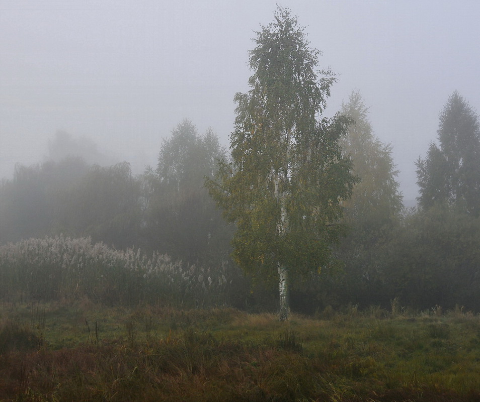 Фотографія Жовтневі тумани / Сергей Кундас / photographers.ua