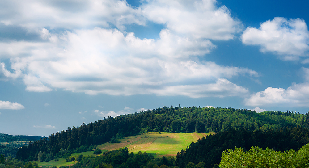 Фотографія Карпати / Богдан Лозинський / photographers.ua