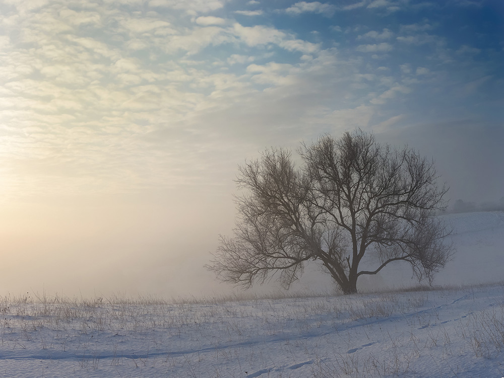 Фотографія Пейзаж / Sergey_L / photographers.ua