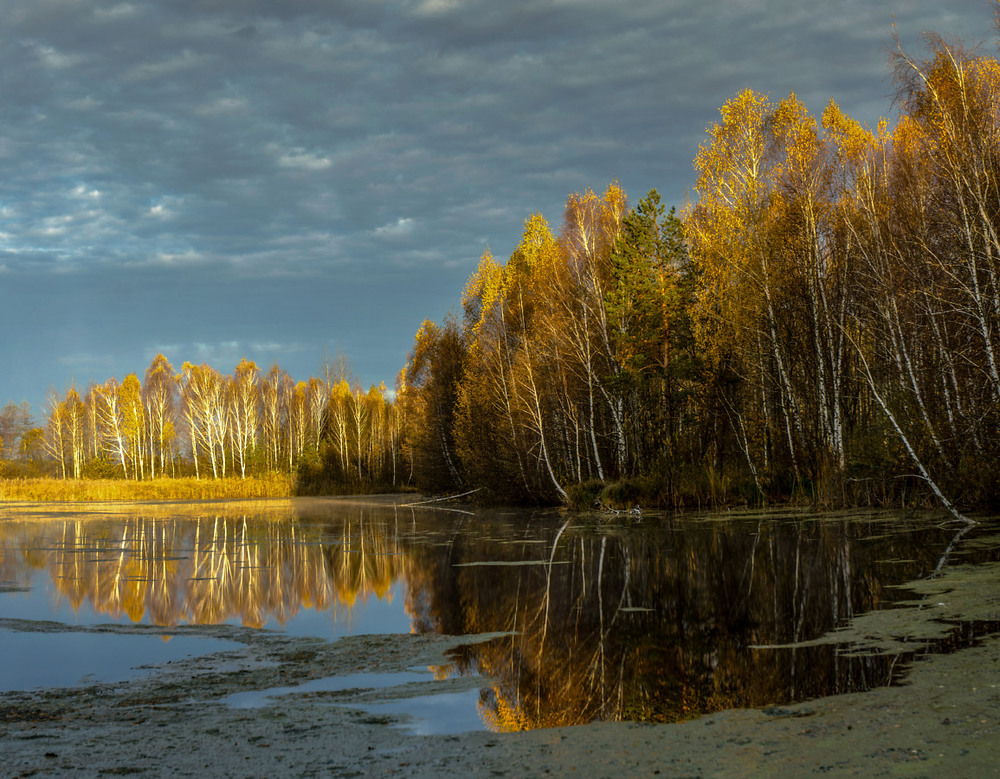 Фотографія Трішки про осінь... / Олексій Будник / photographers.ua