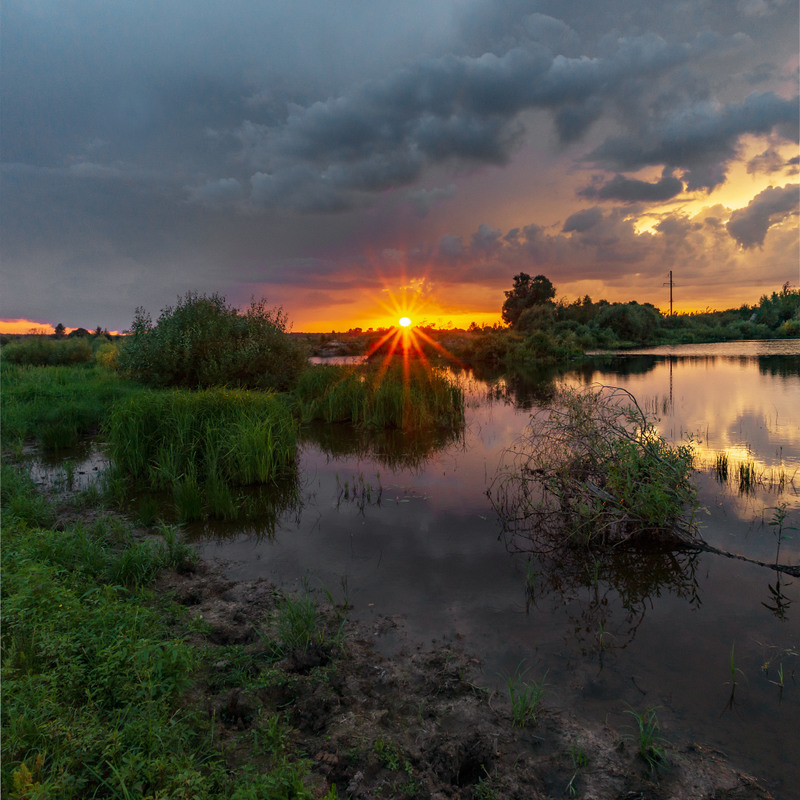 Фотографія Літнім вечором,перед грозою / Олексій Будник / photographers.ua
