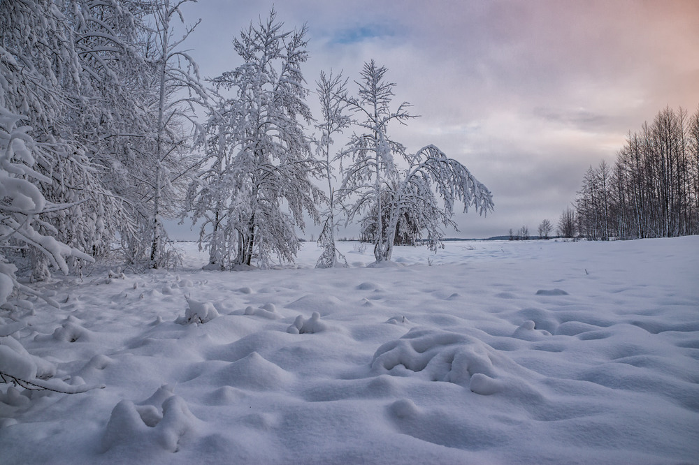 Фотографія Сніг-сніжок / Олексій Будник / photographers.ua
