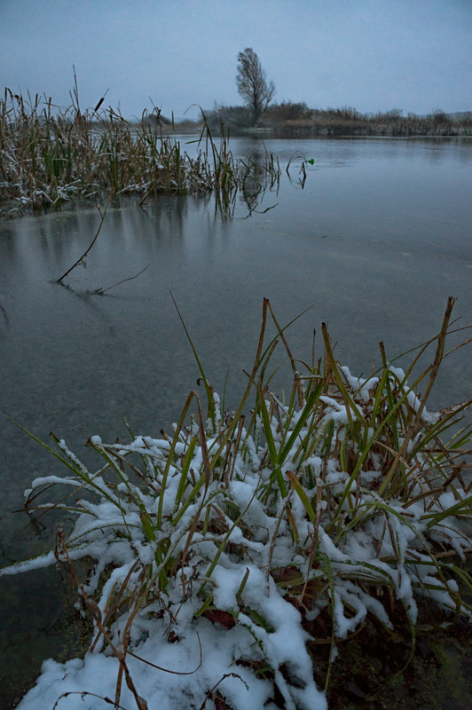 Фотографія Жовтневий сніг / Олексій Будник / photographers.ua