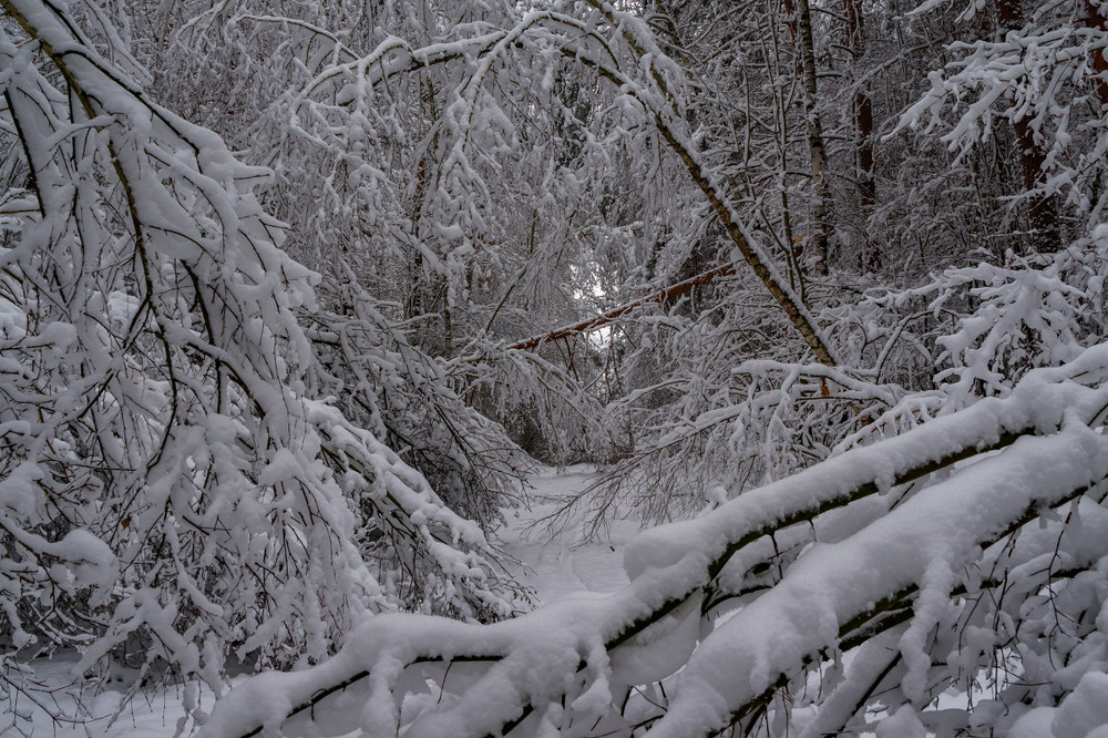 Фотографія Навалило снігу не пройти / Олексій Будник / photographers.ua