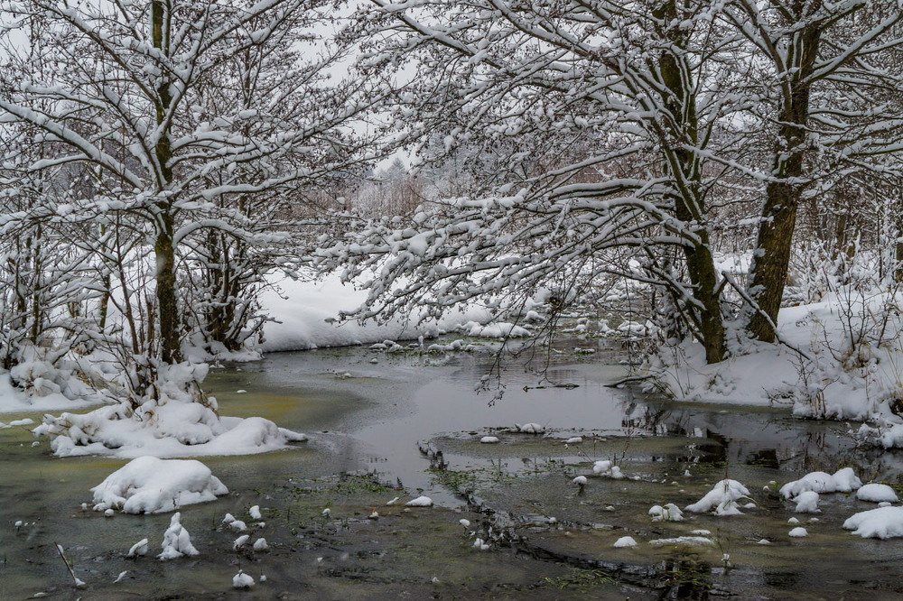 Фотографія Про сніг та воду... / Олексій Будник / photographers.ua
